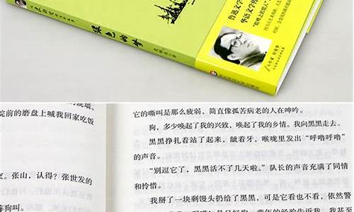 史铁生作品中的优美句子_史铁生作品中的优美句子摘抄