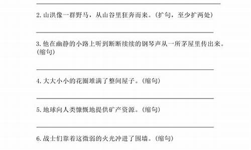 六年级句子训练题大全及答案2020_六年级句子专项测试卷答案