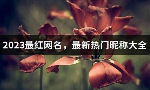 热门昵称_抖音热门昵称