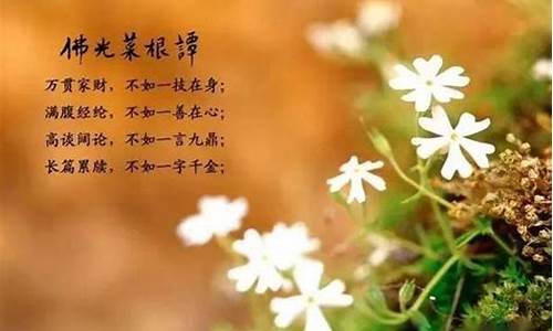 菜根谭经典名句及感悟800_菜根谭经典名句及感悟800字左右