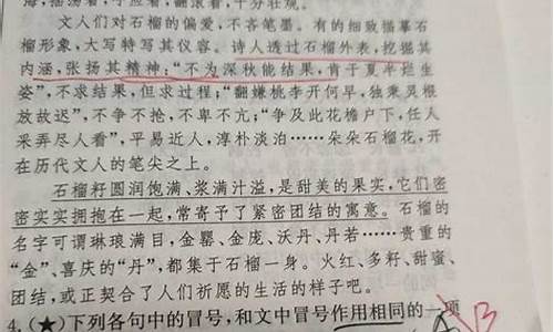 名句解释冒号后面还能再加冒号吗_名句解释冒号后面还能再加冒号吗英语